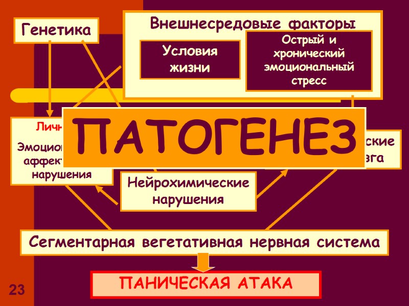 23 Генетика Внешнесредовые факторы Условия жизни Острый и хронический эмоциональный 23 Генетика Внешнесредовые факторы Условия жизни Острый и хронический эмоциональный
